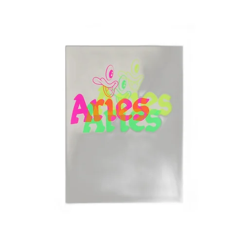 Aries Logo Printed Crewneck T-Shirt