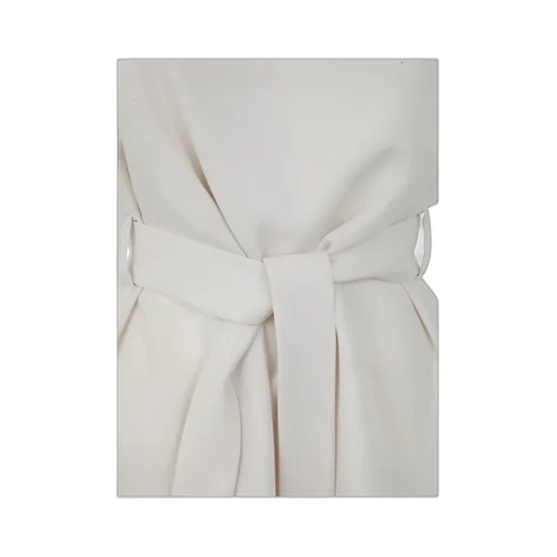 P.A.R.O.S.H. V-Neck Belted Top