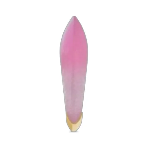 Saint Laurent High Arty Circle Ring
