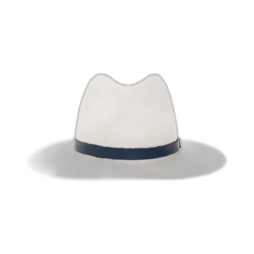 Wide-Brim Fedora Hat
