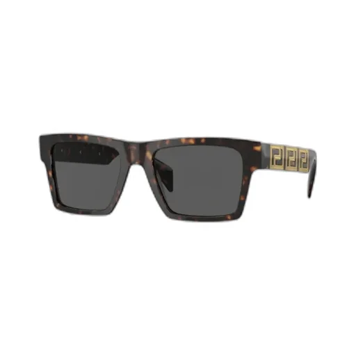 Versace Eyewear Square Frame Sunglasses