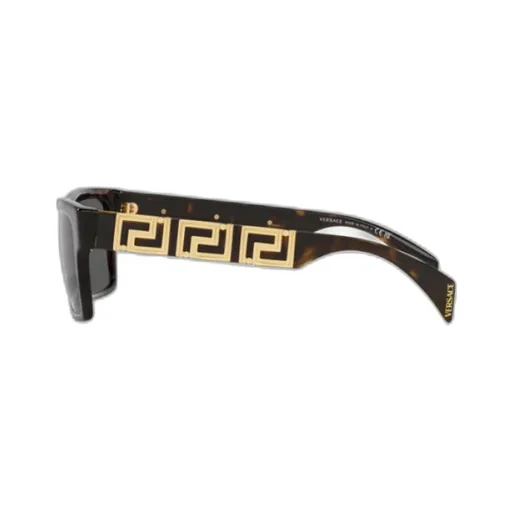 Versace Eyewear Square Frame Sunglasses