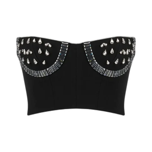 Area Embellished Cropped Bustier Top
