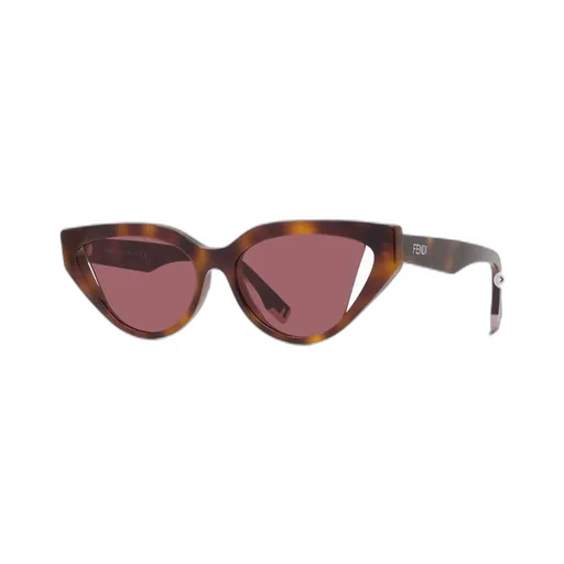Fendi Eyewear Cat-Eye Sunglasses