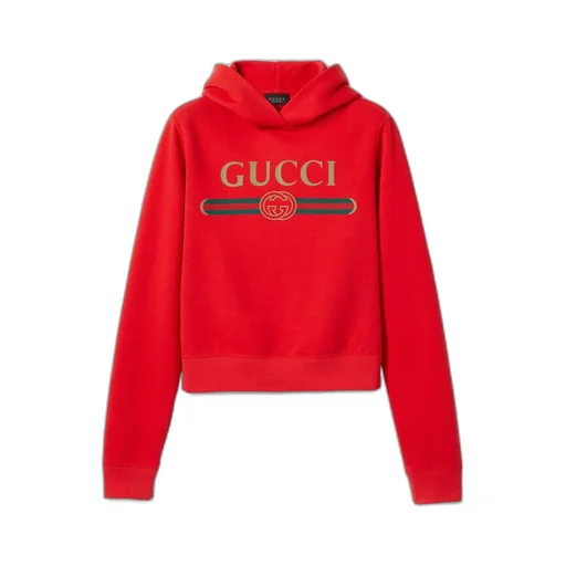 Cotton Jersey And Cashmere Sweatshirt With Print