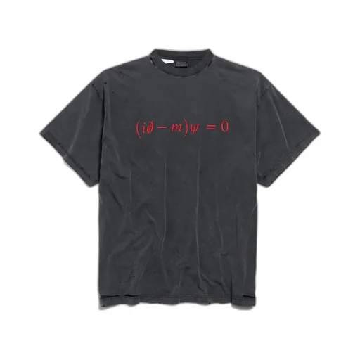 Dirac Equation Oversized T-Shirt