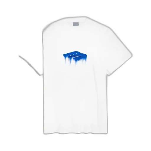 Wet Brush Oversized T-Shirt