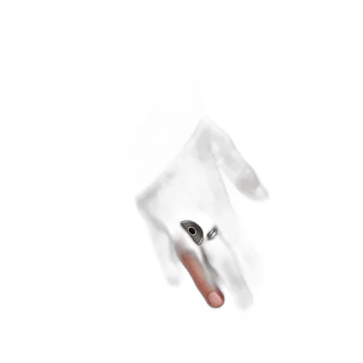 Neverlost Ring