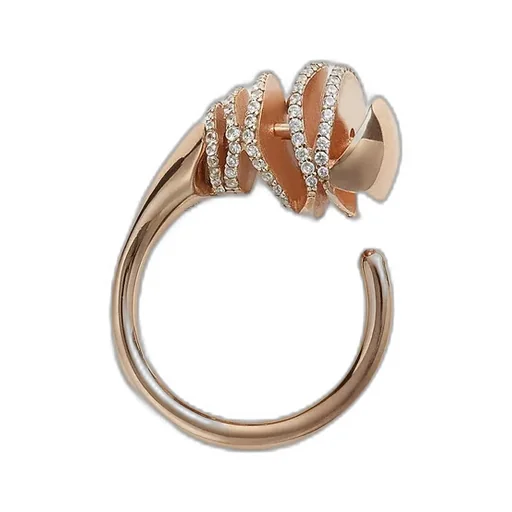 Drop Ring