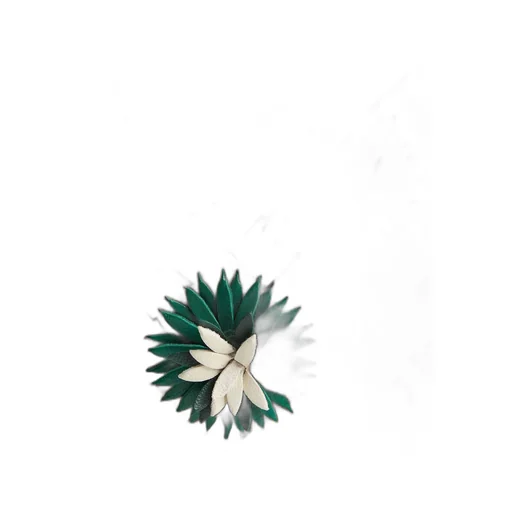 Knot