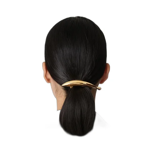Sardine Hair Clip