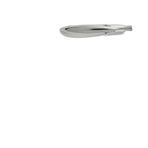 Sardine Hair Clip