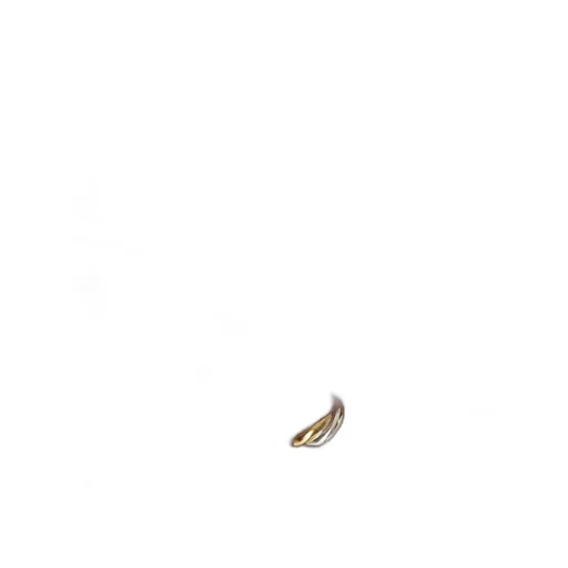 Sardine Ring