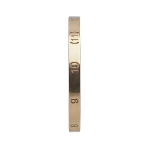 Numerical Ring