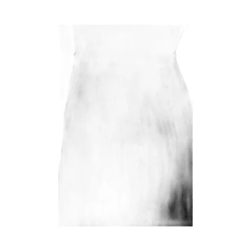 Ribbed Knit Midi Skirt