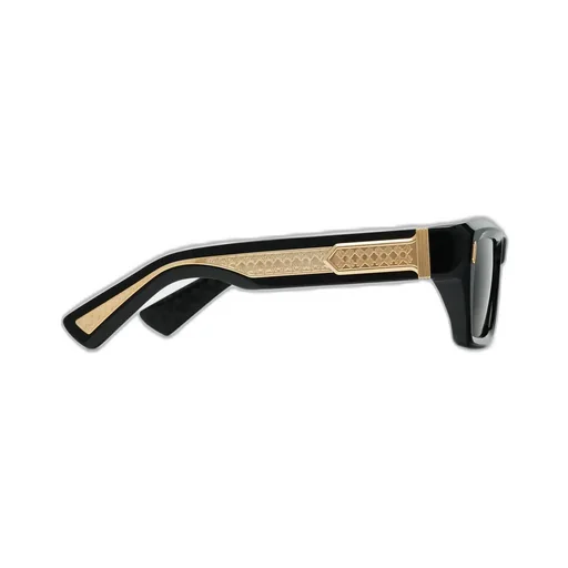 Hollywood Sunglasses - Black Gold