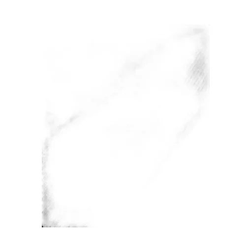 Small Barbour Logo T-Shirts