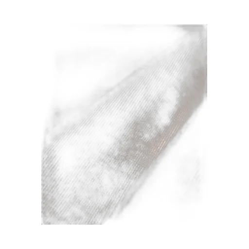 Small Barbour Logo T-Shirts