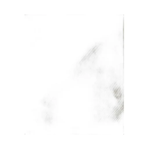 Small Barbour Logo T-Shirts