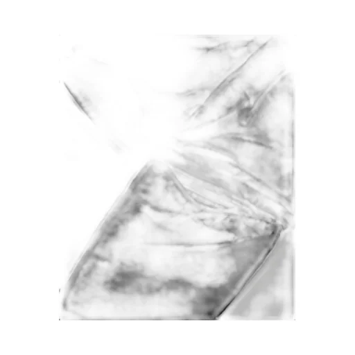 365 Pants