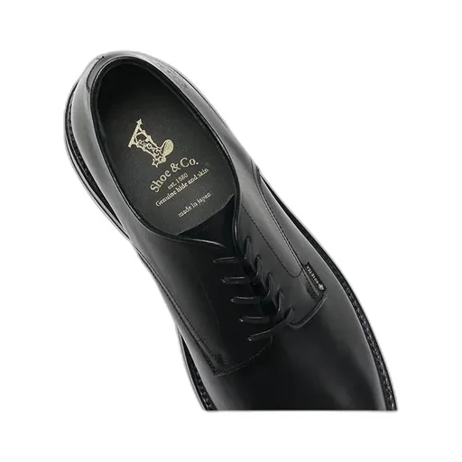 Plain-Toe Gtx_Black