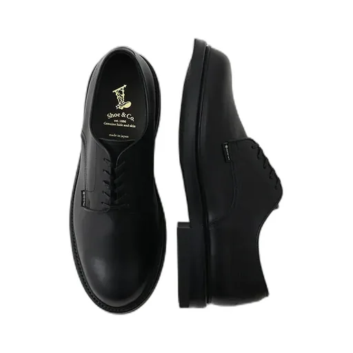 Plain-Toe Gtx_Black