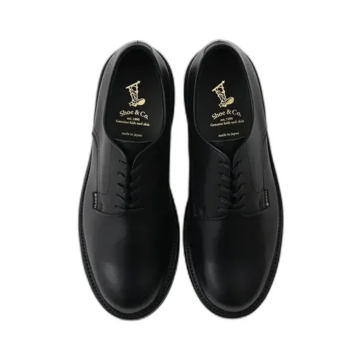 Plain-Toe Gtx_Black