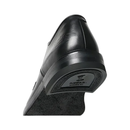 Plain-Toe Gtx_Black