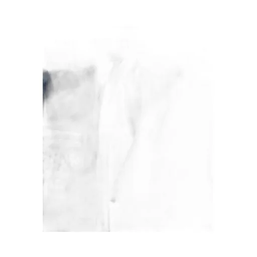 Awaken Pants