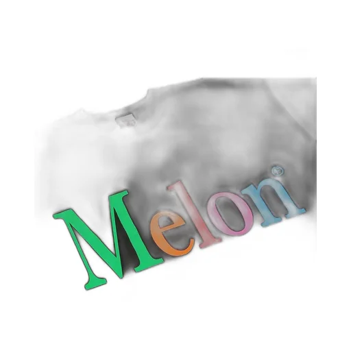 Not Apple Tee Melon - Fruit Of The Loom Edition