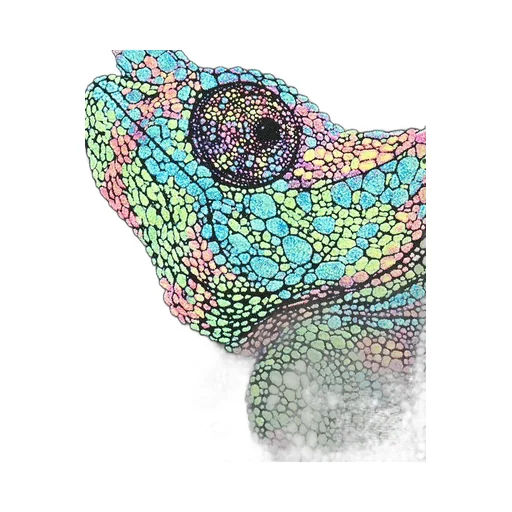 Chameleon T-Shirt