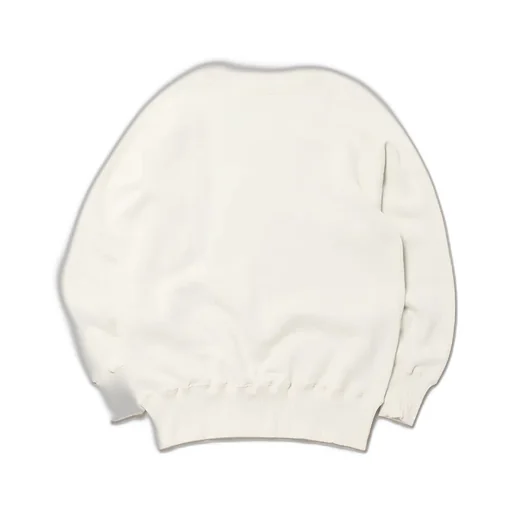 Lot.Jg-Cs24 The Albert Sweat