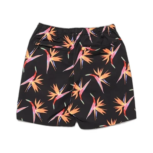 Birds Of Paradise Beach
