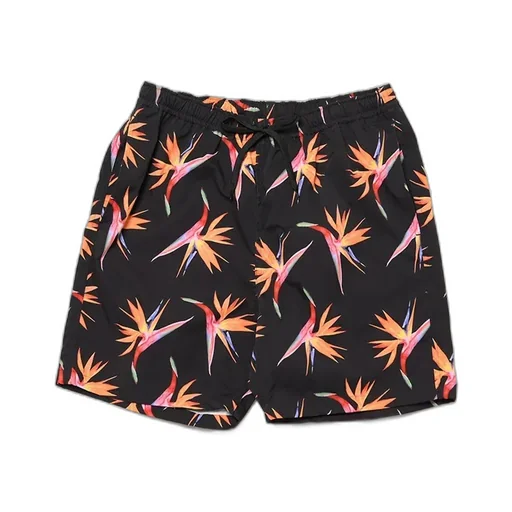 Birds Of Paradise Beach