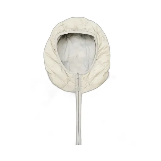 Base Lt Down Hooded Jacket