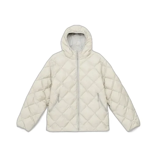 Base Lt Down Hooded Jacket