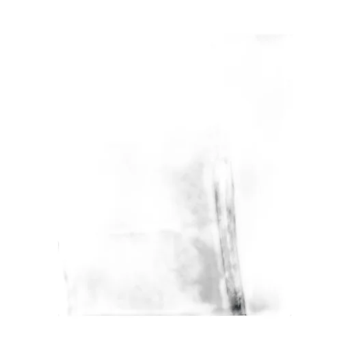 Arc 3L Shell Trouser