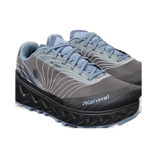 Tomir 02 Gtx Shoe