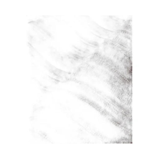Garment Dyed Random Border T-Shirt