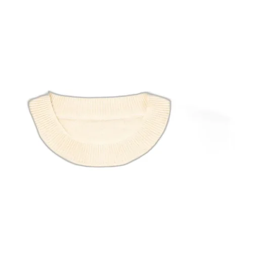 Rigid Cashmere Sweater P/O