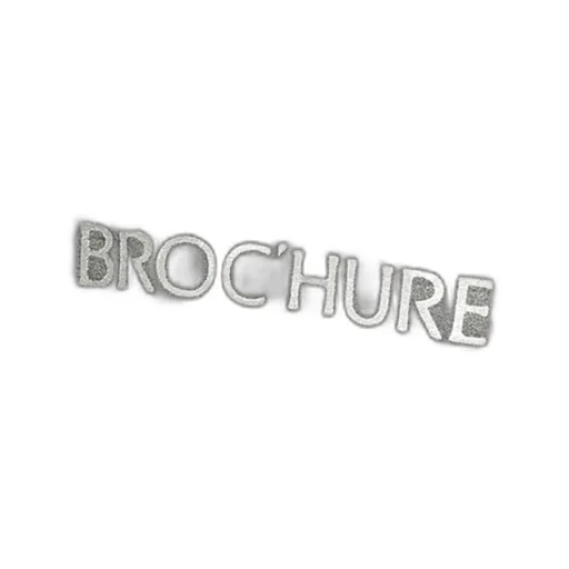 Br+Alwt Argentum Hoody