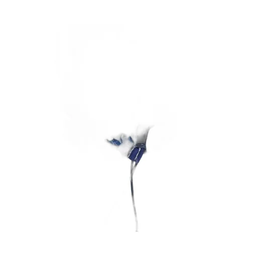 _237
