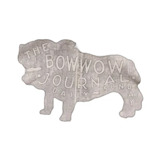 The Bow Wow Journal Chore Coat Aged