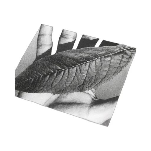 Leaf T-Shirt