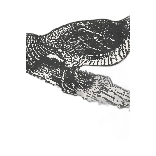 Morrill Short-Sleeve Animal Tee