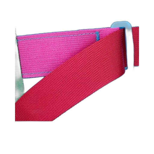 Taal Convertible Tote - Del Dia
