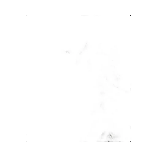 P-001
