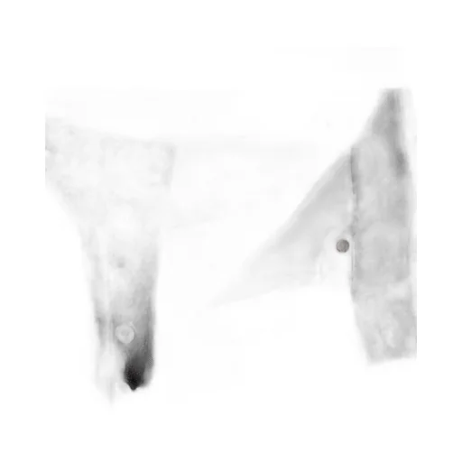Alterna