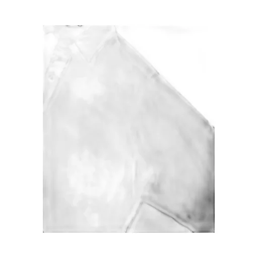 Regular Collar Shirt