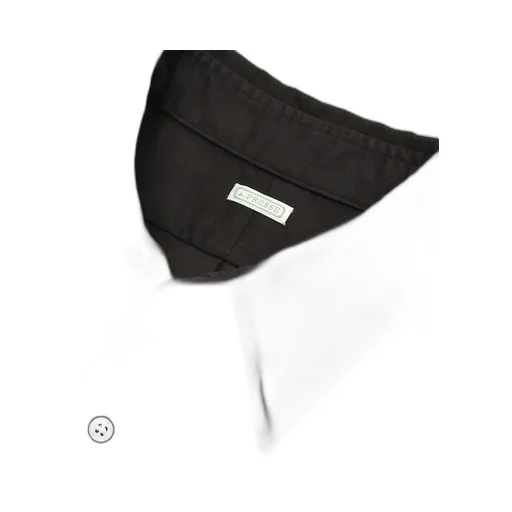 Double Weave Twill Regular Collar Shirts